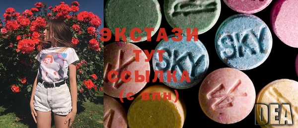 ECSTASY Горняк